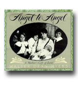 Angel to Angel by Walter Dean Myers